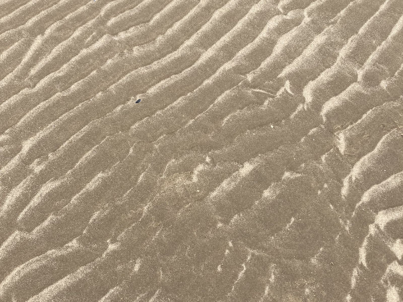 Sand